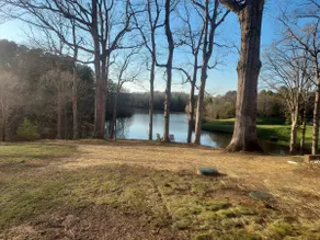 The Oasis - Image 4