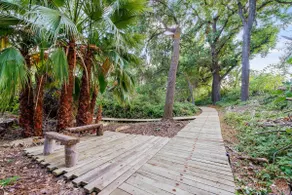 Hobbit House at Collins Creek - Image 5