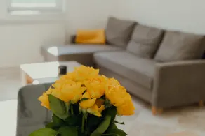 Apartmán EMILY - Image 3
