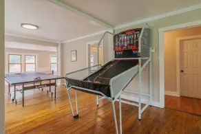 Chalet w/ Ultimate Game Room & Golf Hitting Cage - Image 3