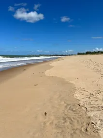 New beachfront apartment - Image 5