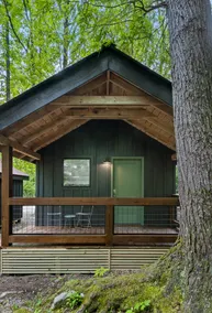Roamstead's Pine Cabin - Image 2