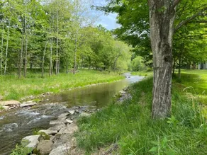 Thorn Creek Cottage - Image 4