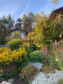 Lovely guest house by the sea in the High Coast - Image 5
