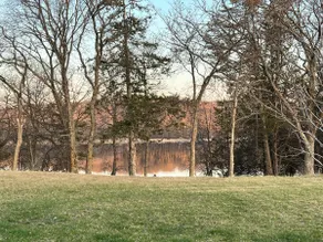 An Oasis on the Lake - Image 2