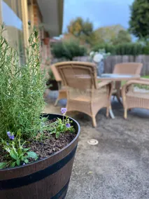 Completely Renovated, Cosy Home - Image 3