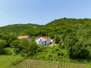 Zrmanja Vrelo - spacious house for nature lovers - Image 2