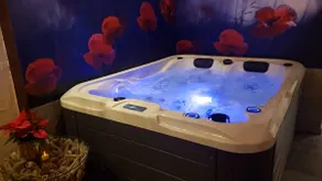 Guest house with a hot tub and sauna in the countryside - Image 5