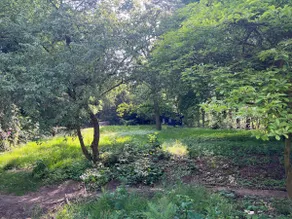 Quiet garden house on the edge of the forest with sheep - Image 2