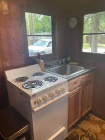 Cozy Cabin w/ Hot Tub (pet friendly)! - Image 5