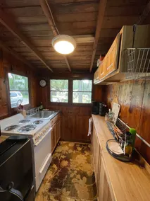 Cozy Cabin w/ Hot Tub (pet friendly)! - Image 2