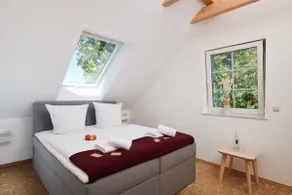 Huge Family Apartment in nature - Image 4