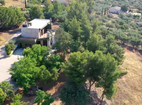Villa Khaki - Image 3