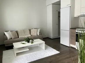 Stylish two-room apartment with sauna, balcony, and a place to park - Image 4