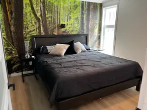 Holidays in Estrie: Beautiful condo in Magog - Image 4