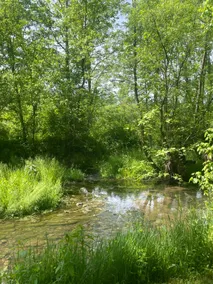 Braxton Manor at Creekside Retreat - Image 3