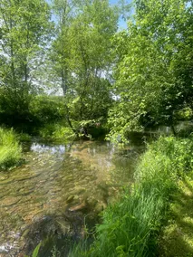 Braxton Manor at Creekside Retreat - Image 2