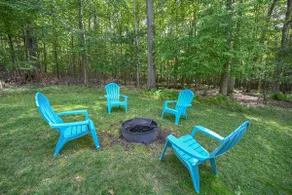 Black Eyed Susan - Image 5