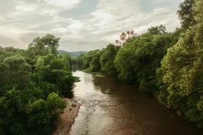 Private Beach on Harpeth River - Image 3