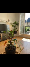 Charming apartment in the city center. - Image 4