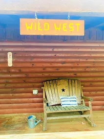 The Wild West - Image 3