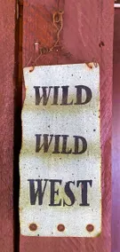 The Wild West - Image 4