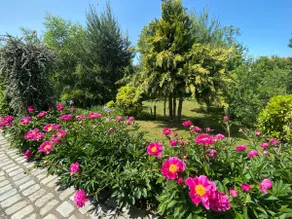 La Loupiote - Jacuzzi included WITHOUT extra charge! - Image 3