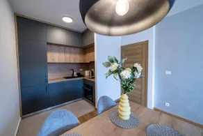 Fabulous 1BR apt in best part of Podgorica - Image 4