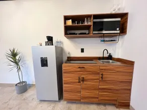 Downtown industrial Jacuzzi Loft in Roof Garden - Image 4
