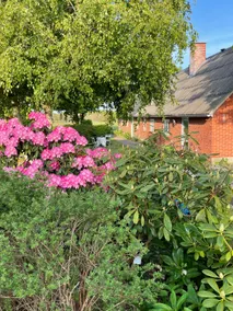 New authentic cottage in village garden - Image 5