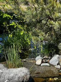 Hobbit Hut @ Blossom Valley Farm - Image 3