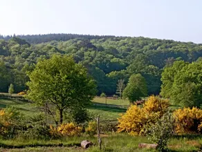 1-bedroom country cottage - Image 2
