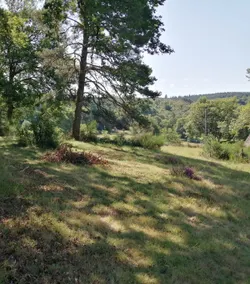 1-bedroom country cottage - Image 3