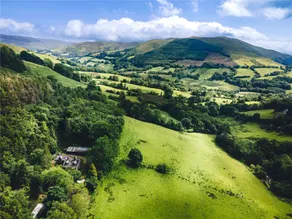 Snowdonia woodland retreat - cosy and secluded - Image 4