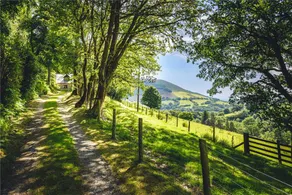 Snowdonia woodland retreat - cosy and secluded - Image 2