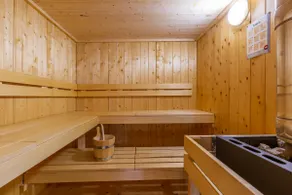 Secret forest house - Image 4
