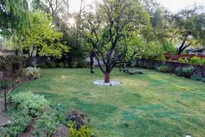 Charming Historic Highlands Pasadena Home! - Image 5