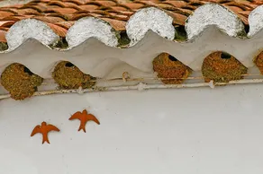 Casa das Romãs - Image 4