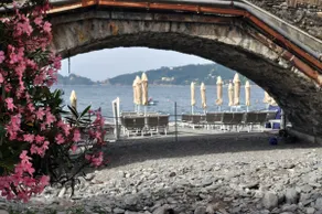 5 Steps From the Sea - Sea House - Image 4