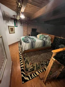 Urban Safari Loft - Image 5