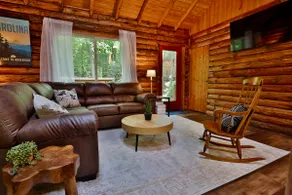 Perfect Cabin 10 Min-Asheville - Image 3