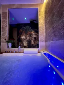 KalypsÔ Suite, romanticism, spa & private sauna. - Image 2