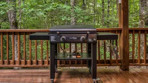 Tranquil Fern - Private oasis in Blue Ridge GA - Image 5