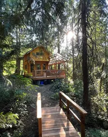 Forest Hideout - Image 3