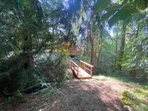 Forest Hideout - Image 2