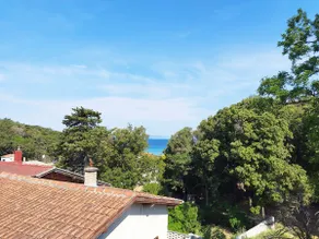 Holiday House Rose - Image 2
