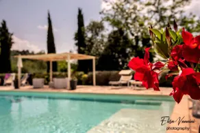 Sant'Andrea with private pool - Image 3