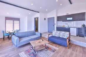1+1 Penthouse 13 - Image 5