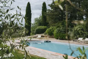 Lupinati - the Court - Image 3