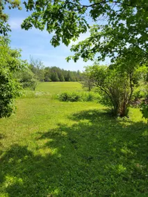 Sandfield Country Cottage - Image 4